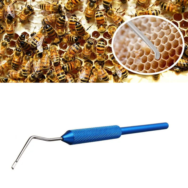 

Beekeeper Worm Moving Beekeeping Tools Stainless Pin Grafting Needle Steel Beekeeping Supplies