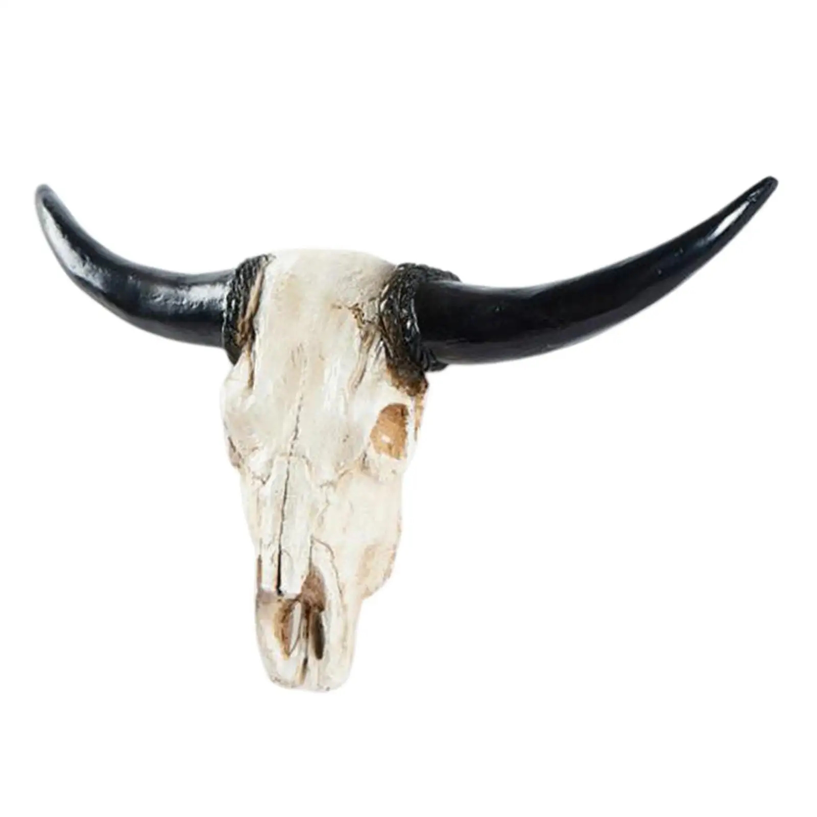 

3D Skull Wall Sculpture Polyresin Ornament Modern Carved Chic for Shop Hotel