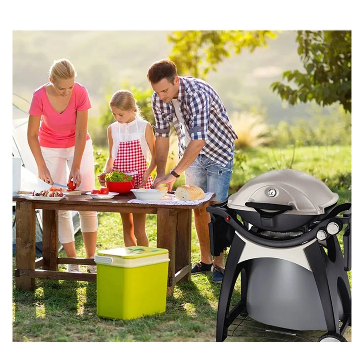 63788 Комплект зажигания для газовых грилей серии Q320 2008 и Q3200 2014 80452 60092 кнопочное