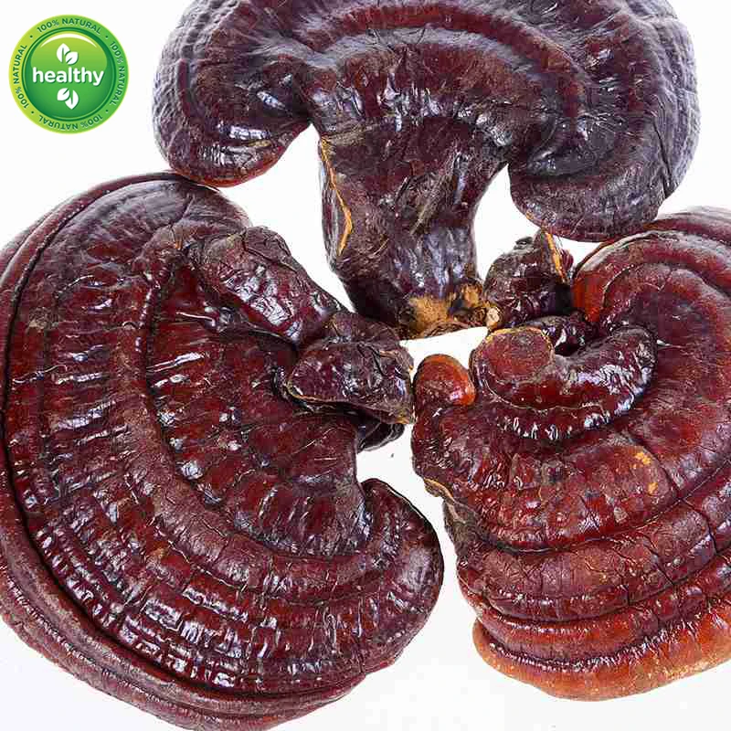 

Wild Reishi Zi Lingzhi,Free Shipping
