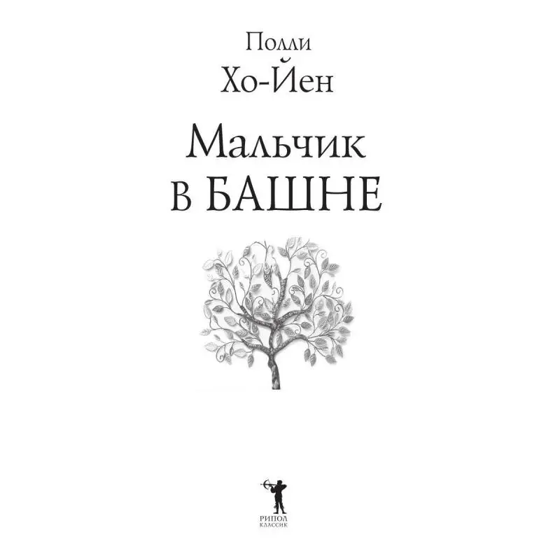 Фото Книга Мальчик в башне Хо-Йен Полли №4