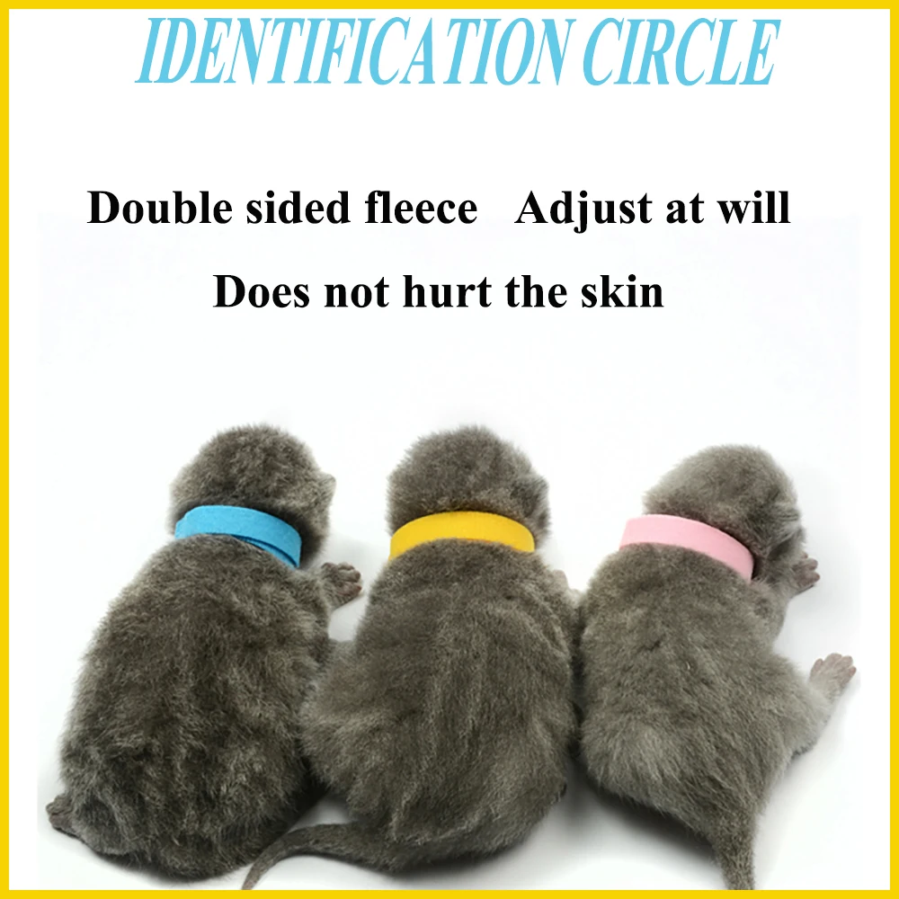 12PCS New Arrival Pet Identification Circle Neck Belt Puppy Cat Soft Collar Dog Mark Rope Canine Feline Newborn Home |