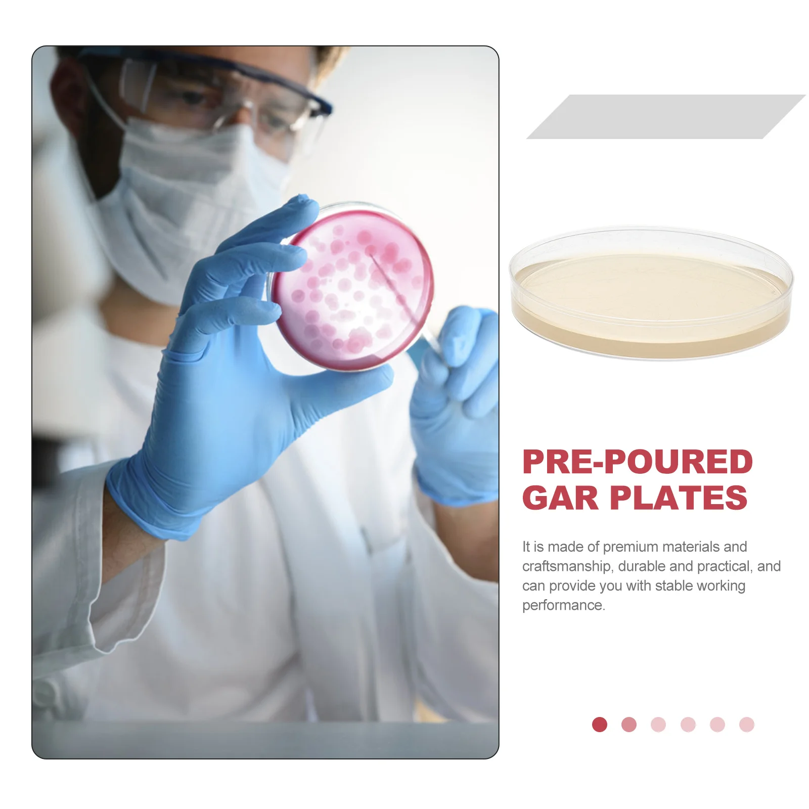 10 шт. тарелка с питательным агаром мешованные тарелки набор для изготовления