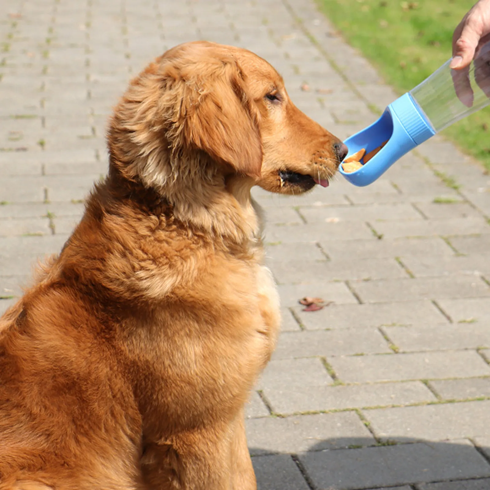 Переносная бутылка для воды домашних животных складной дозатор прогулок с