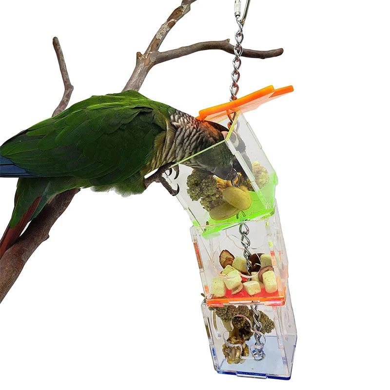 

Transparent Parrots Food Feeder Transparent Acrylic Bird Feeder Food Holder Transparent Bird Treats Forage Box Cage Toy Food