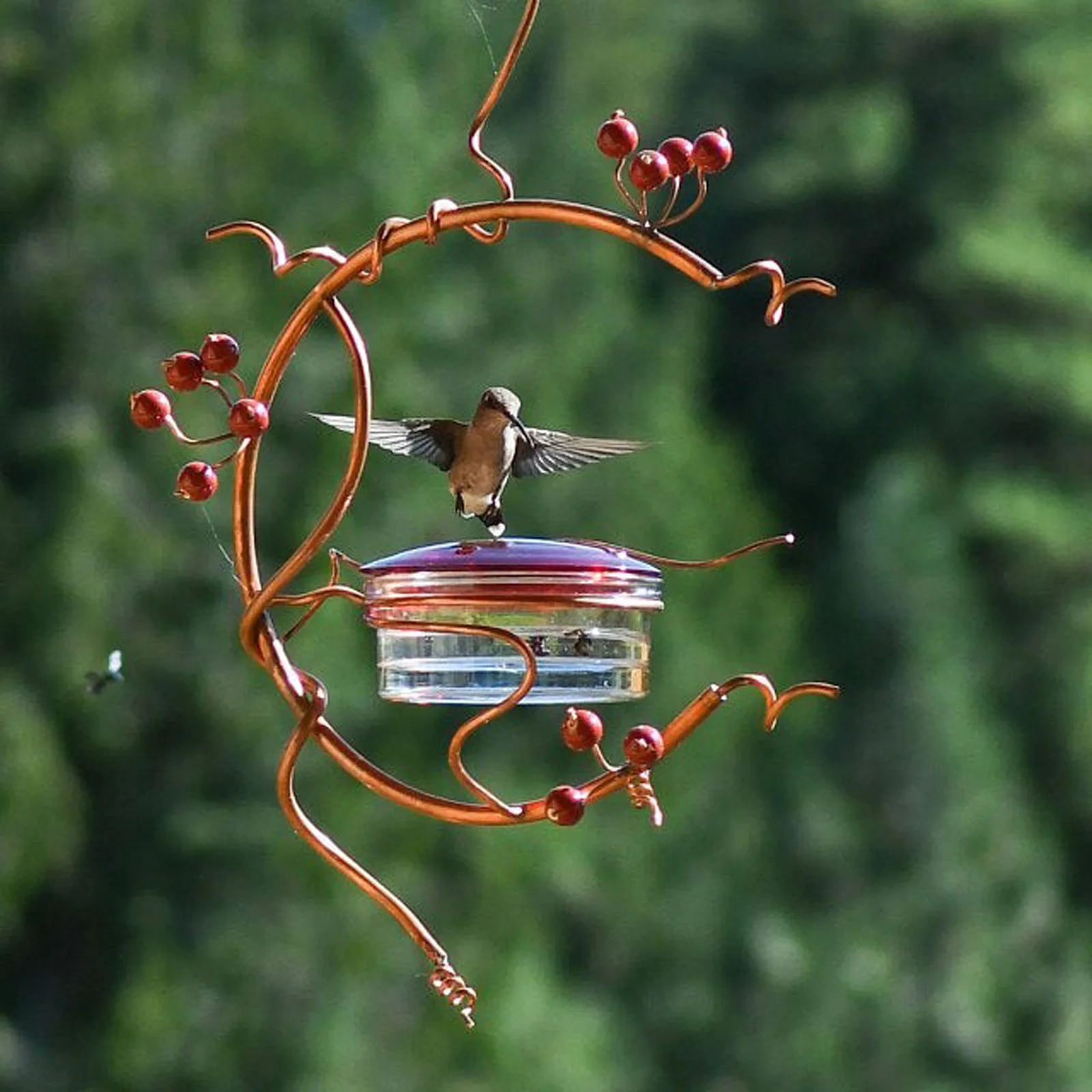 

Courtyard Hanging Bird Feeder Red Berries Hummingbird Feeder Metal Bracket Bird Feeder Bird Cage Pet Feeding Accessories