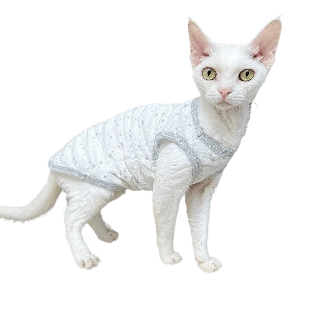 

Stretchy Homewear Sphynx Cat Outfit for Devon Rex Costume Sphinx Hairless Cat Clothes Pet Cotton Mesh Siamese Cat Clothes