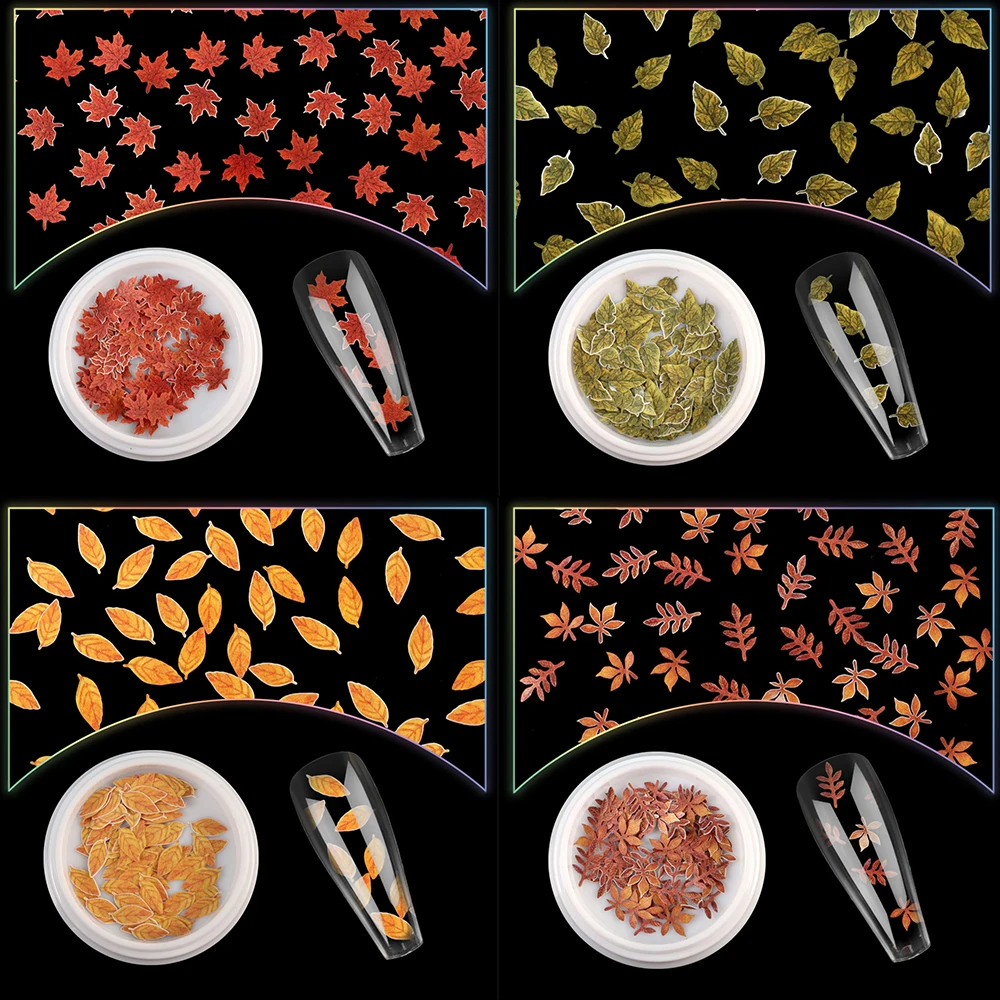 

Charming Dried Plant Set 50pcs Nail Art Mixed Shape With Bottle 3D Leaves Nail Japanese UV Gel Nails Manicure Tips