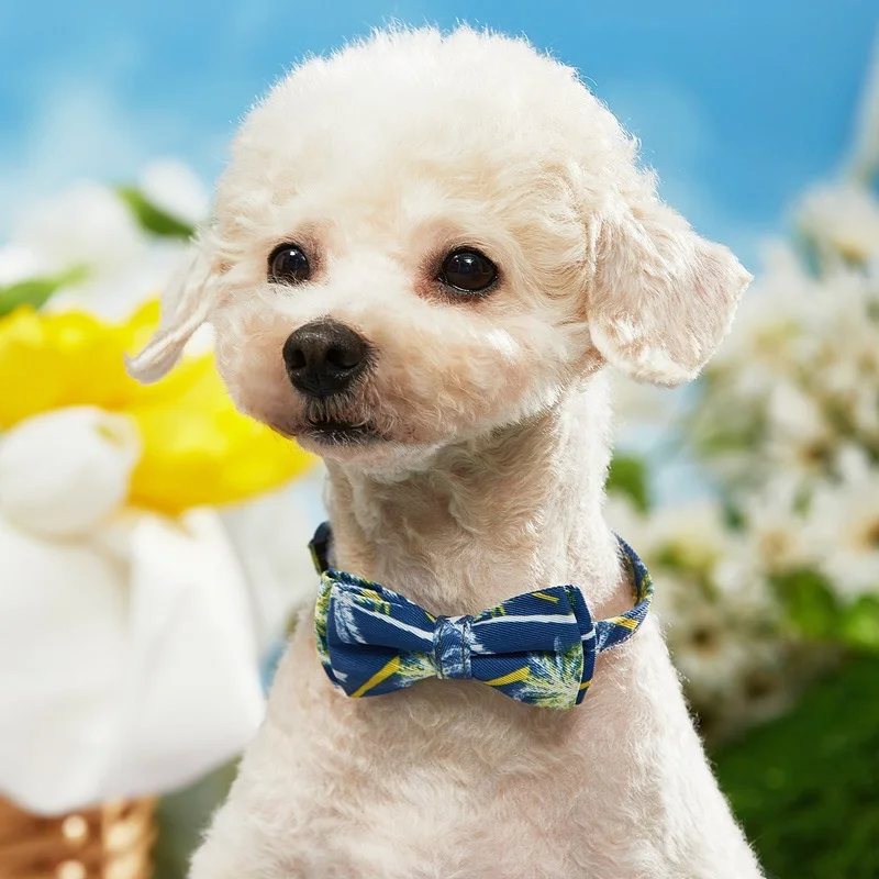 

1 Pc Pet Accessories Small Dog Bow Tie for Puppy Dog Bowties Collar Adjustable Girl Dog Bowtie for Cat Dog Collar Pet Supplies