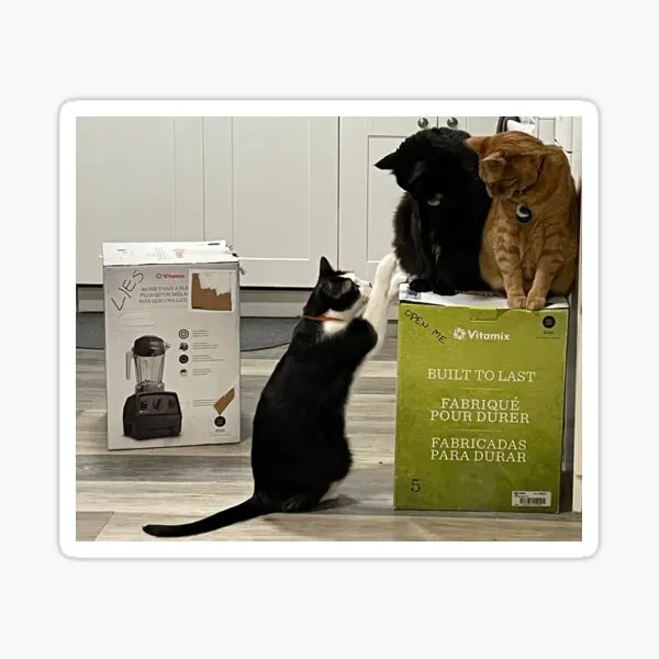 

5 шт. наклеек The Trio для забавного чемодана, гостиной, детский Декор для дома, окна, фона, бутылки для воды, украшения для стен автомобиля