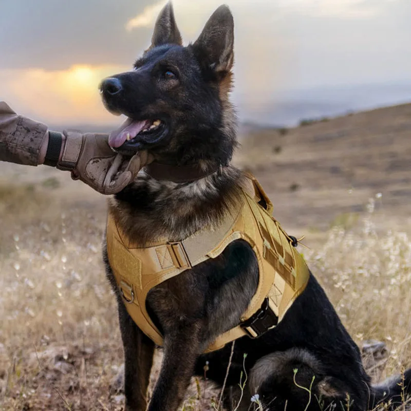 

German Shepherd Wolf Dog Collar Clothes Vest Golden Retriever Husky Reflective Stripe Hand Holding Rope Dog Breast Strap