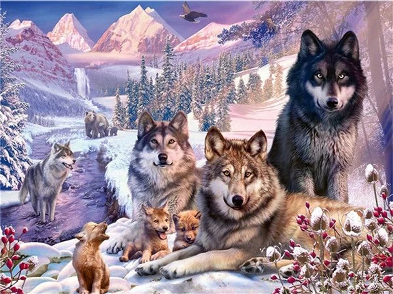 

No.385 Painting By Numbers DIY Oil Coloring Paint By Numbers Set Gift Drawing By Numbers Canvas Decor New Arrivals