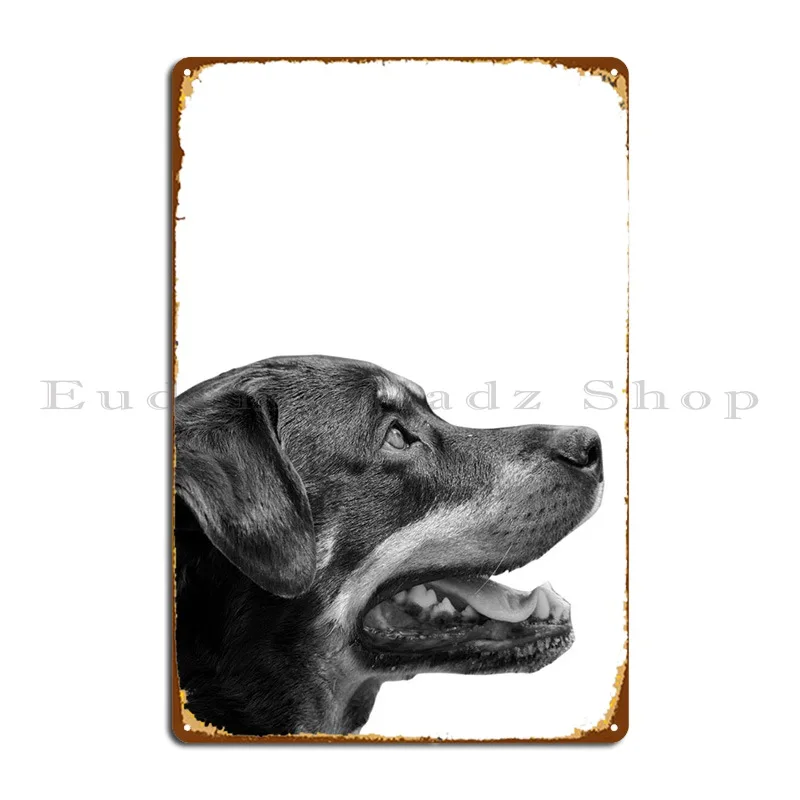 

Ротвейлер, лицо собаки, металлический знак, настенная пещера, печать клуба, дизайнерская настенная роспись, жестяной знак, плакат