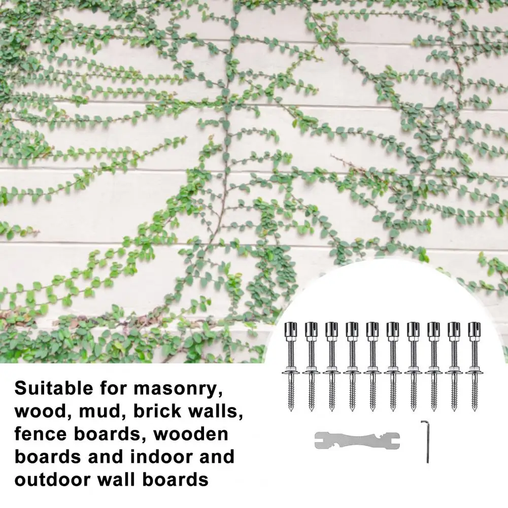 

Веревка для поддержки растений, веревка для подъема растений, набор веревок из нержавеющей стали для подъема растений для сада, гибкая настенная проволочная система