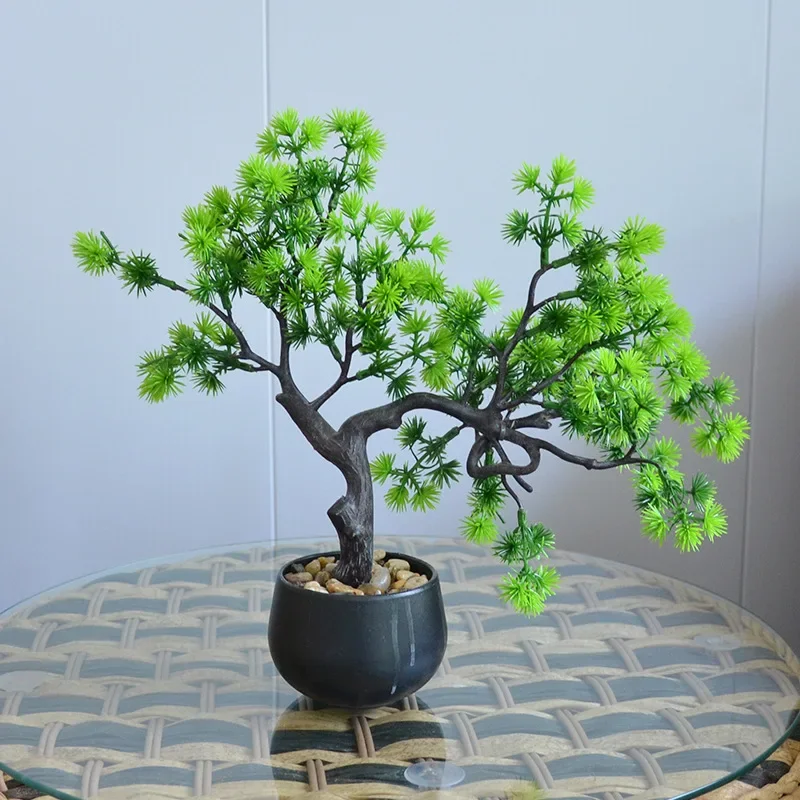 

Chinese Style Bonsai Welcome Pine Rice Lansong Podocarpus Macrophyllus Pot New Chinese Style Living Room Home Office Display