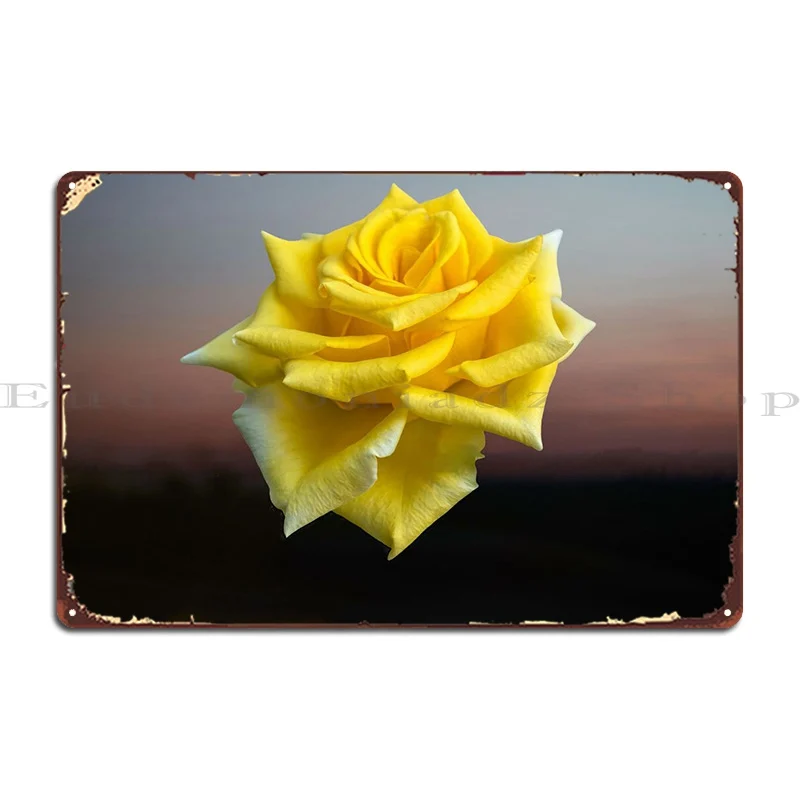 

Isolated Yellow Rose Metal Plaque Club Party Plaques Kitchen Designer Kitchen Tin Sign Poster
