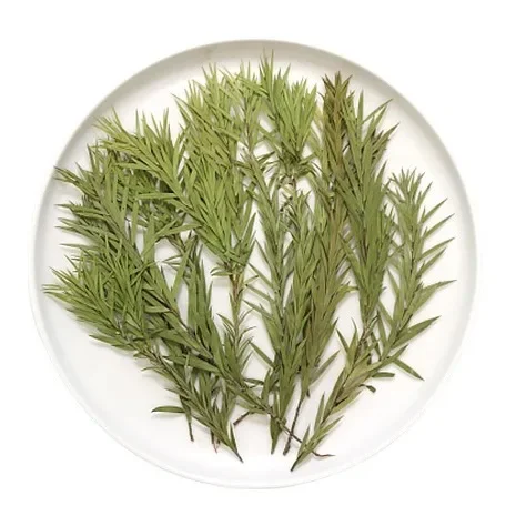 Натуральные прессованные мягкие сухие цветы рельефные натуральные листья