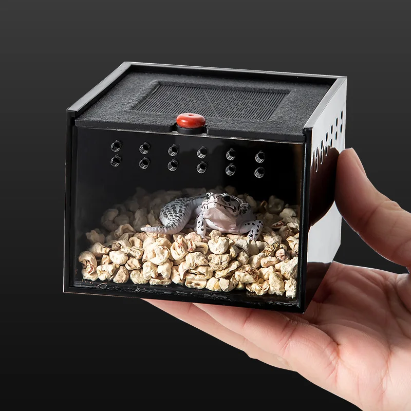 

8.5 * 9 * 6.5CM Jumping Spider Breeding Box Prevent Escape Pet Crawler Box Acrylic Scorpion Beetle Insect Feeding Cage