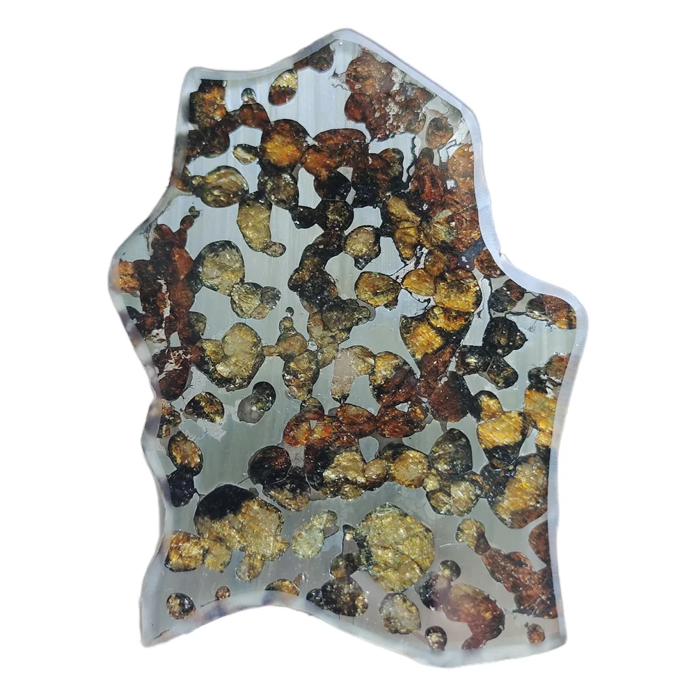 

49g Seymchan Pallasite Natural Meteorite Material Sliced Olive Meteorite Slices Specimen Collection - TA233