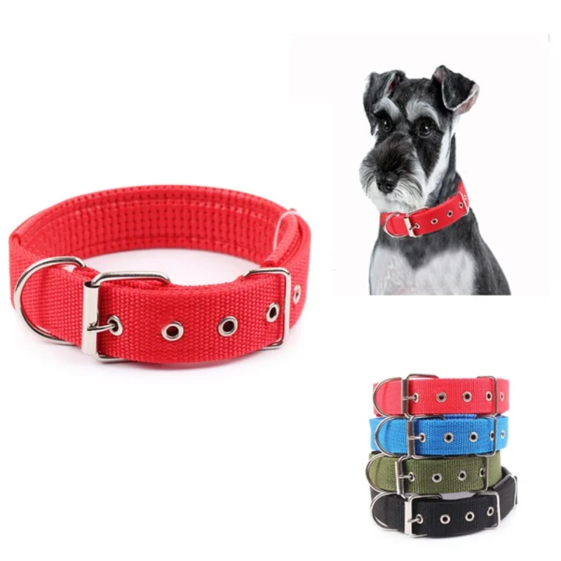 

Delysia King Dogs Collars
