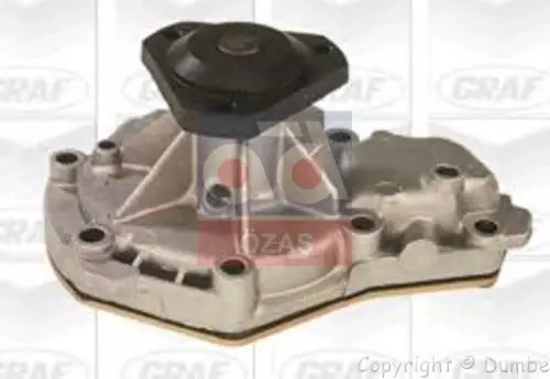 

Код магазина: PA514 для замши r21.conдона