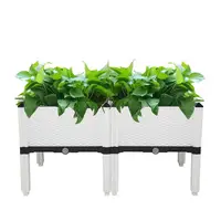 2Pcs Box Raised Garden Bed Elevated Wooden Planter Box with Legs Standing Growing Bed for Gardening Backyard Patio Balcony