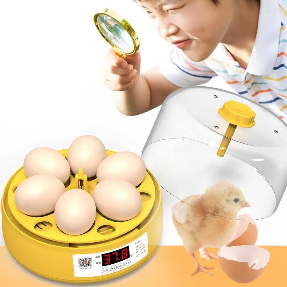 

6 Eggs Chicken Bird Incubator Hatching Machine Automatic Brooder Intelligent Temperature Parrot EU/US Plug Quail Farm Contr E5E6