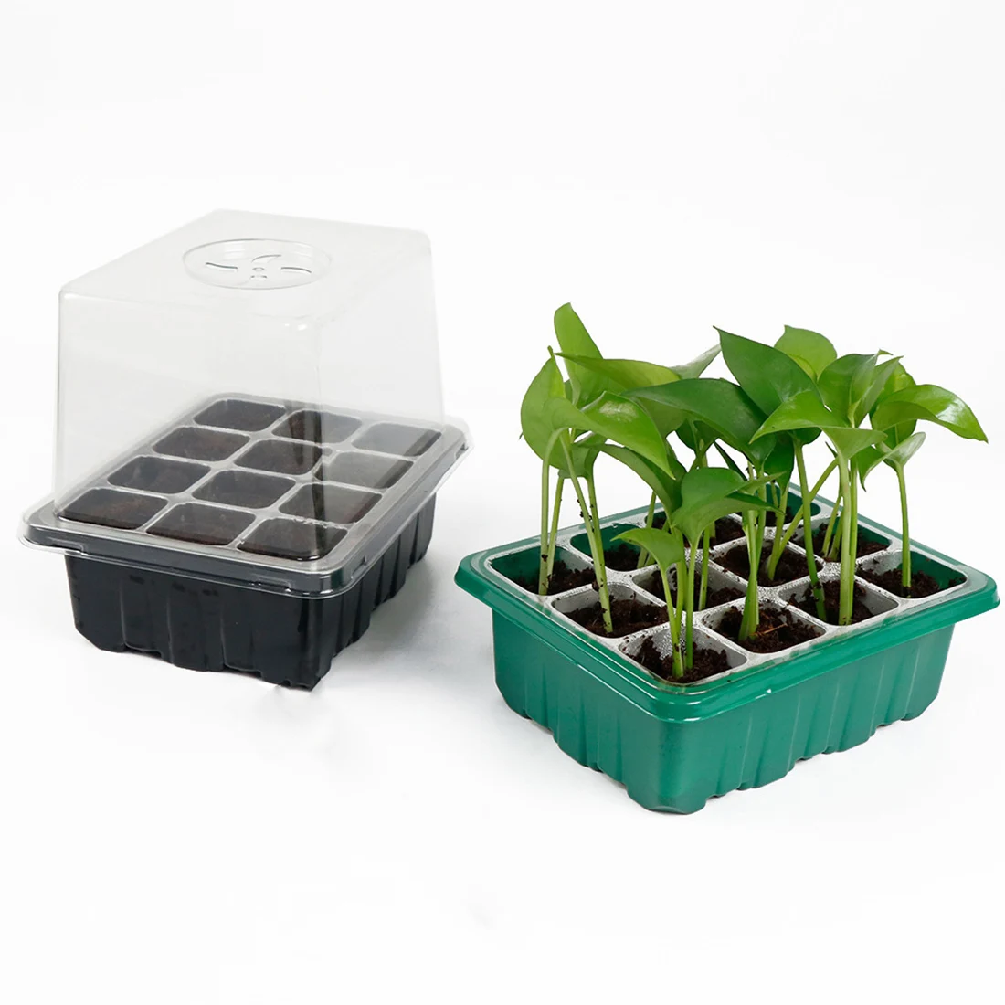 

12 Cells Seed Starter Kit Plant Seeds Grow Box Seedling Trays Germination Box With Dome And Base For Seeds Growing Starting