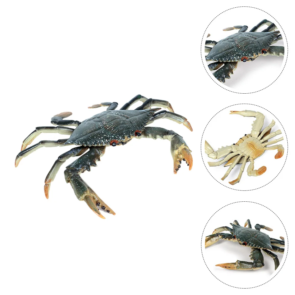 

1pc Lifelike Crab Mini Crab Decoration Realistic Crab Model Educational