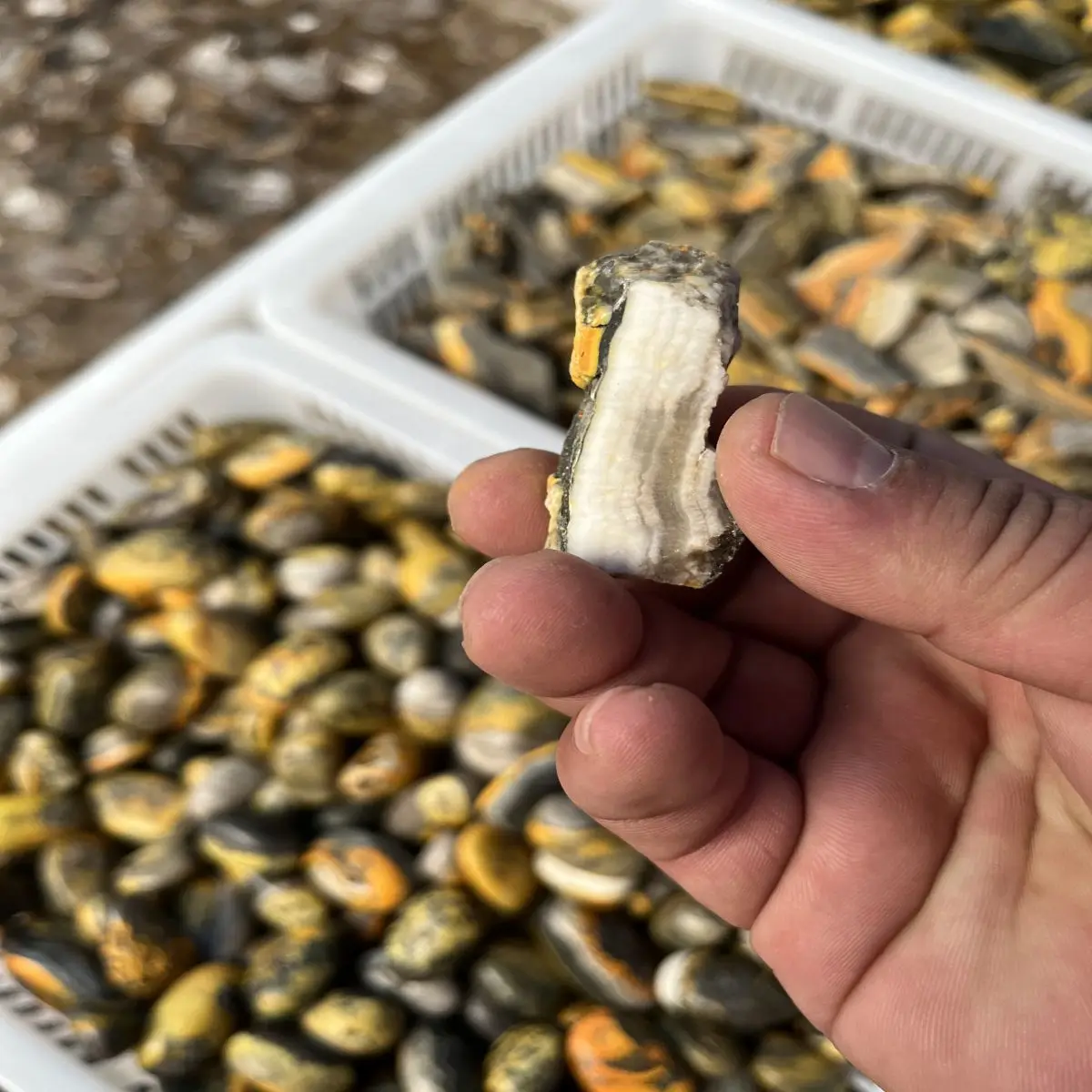 1Kg Natural Crystal Primitive Stone Primitive Mine Indonesian Bumblebee Ore Color Grain Shape Like Bumblebee Random Sent