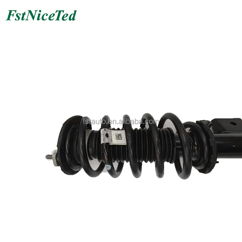 

1044364-00-F Front shock absorber assembly / 2WD LH for FST-TS-1613
