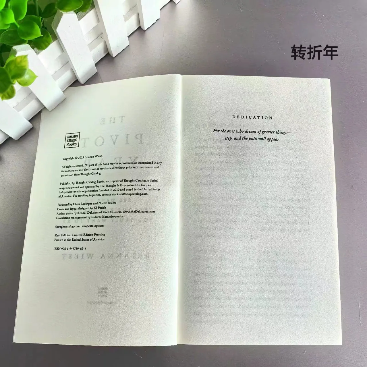 The Pivot Year by Brianna Wiest