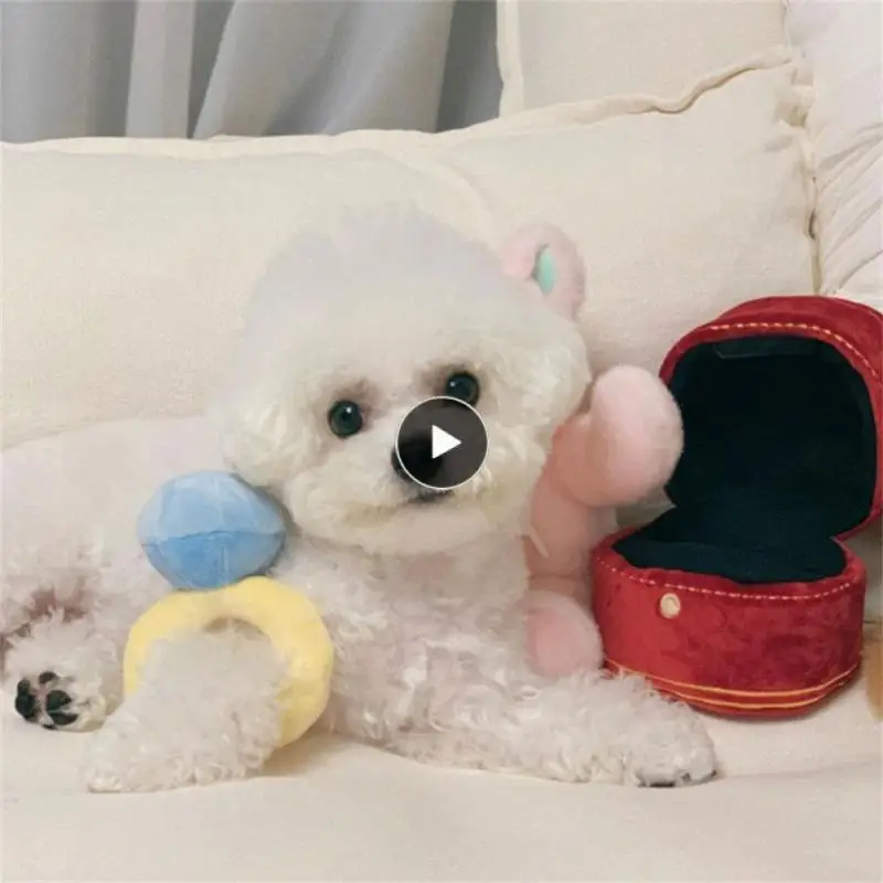 

Sounds Pet Ring Box Set Resistant Ring Box Plush Toy Training Accessories Interested Toys Chew Toy Dog Accessories Big Soft Cute