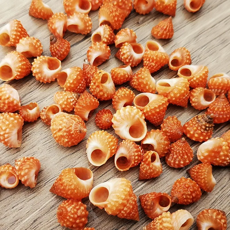 Природные змеи образец башни сменные рыболовные резервуары и микроландшафты для