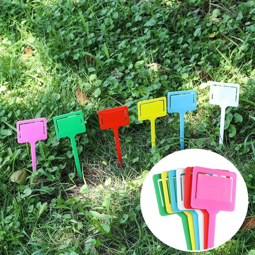 

Garden Tool Pest Control Sticky Trap Holder Nursery Herbs Signs Tags Potted Plant Prompt Card Plant Label