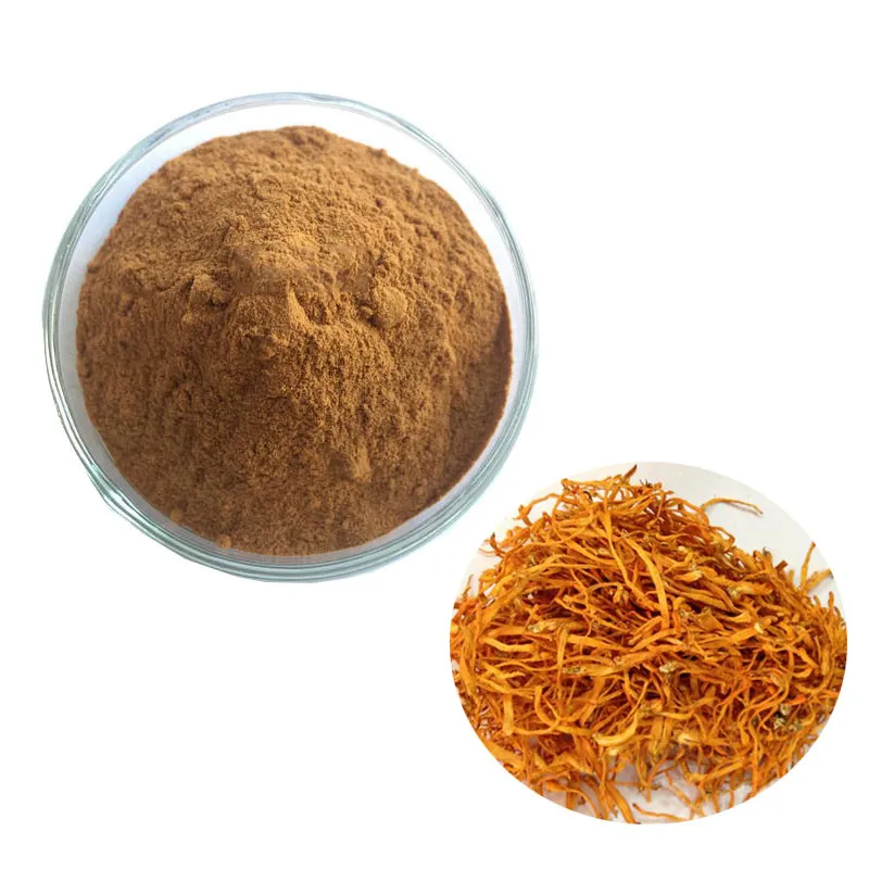 

pure Cordyceps sinensis powder extract 10: 1, winter worm summer grass powder