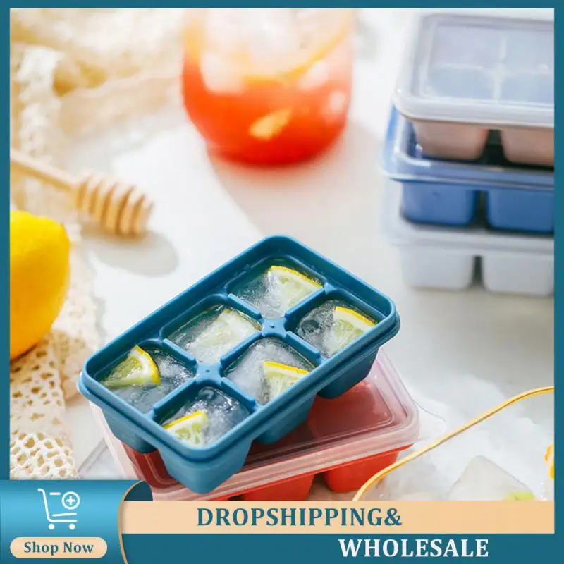 

Ice Box High Quality Tray With Cover Small Tray With Lid Mold Vigorous Development Mold Durable