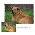 Индивидуальный набор крючков с защелкой, ковер сделай сам, ручная работа, сегментная вышивка, практичная диванная подушка, ковер с вышивкой