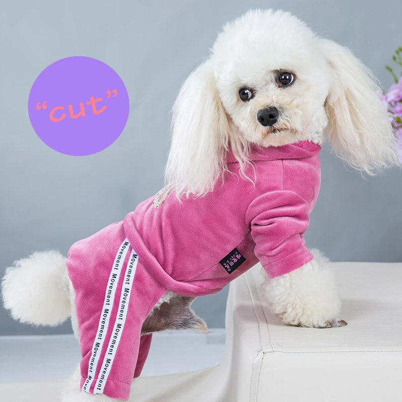 

Одежда для домашних питомцев, Золотая Бархатная моющаяся одежда для активного отдыха с четырьмя ногами, теплая удобная ткань для Тедди, кос...