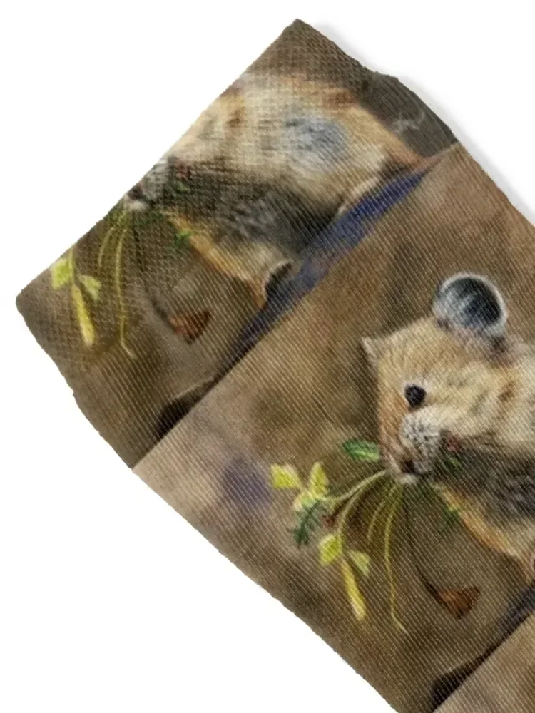 Северноамериканские носки с Пикой зимние подарки крутые для женщин и мужчин