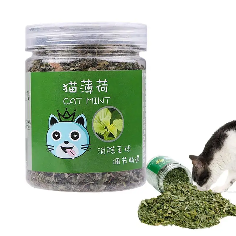 

20g Cat Catnip Toy Natural Catnip Organic Pets Mint Grass Menthol Flavor Chewing Toy Interactive For Indoor Kitten Pet Supplies