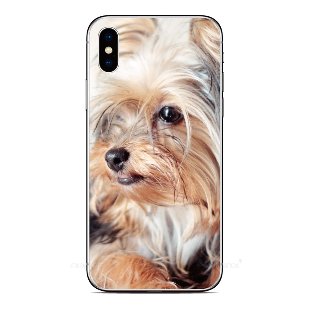 Чехол для Щенка Мопса Realme C30 C31 C33 C35 C55 4G 10 9 8 Pro C20 C15 C11 C21 8i 9i Narzo N55 50A 30 GT3 10T