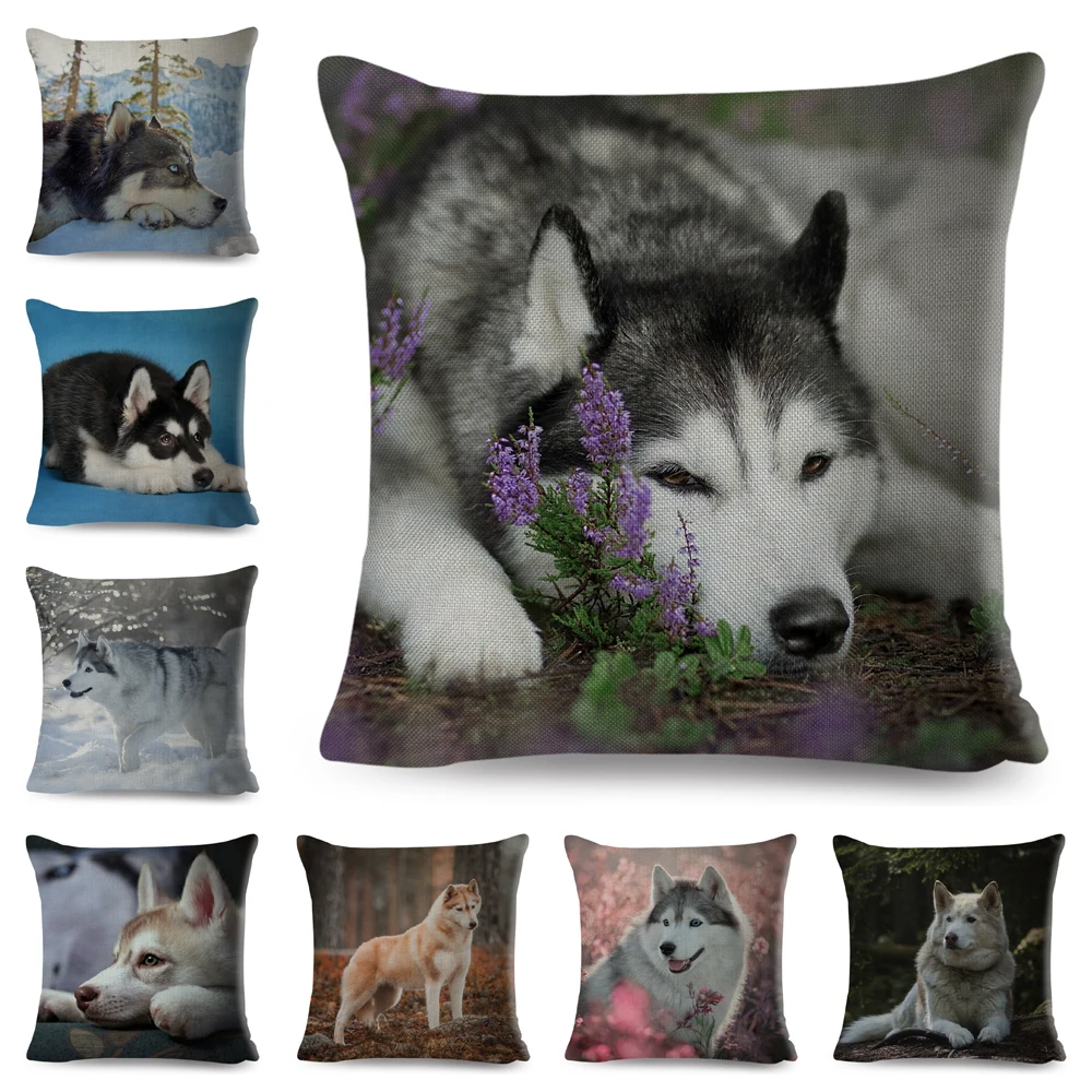 

Siberian Husky Pillowcase Decor Cute Dog Pet Animal Cushion Cover for Sofa Home Chidren Room 45*45cm Polyester Pillow Case