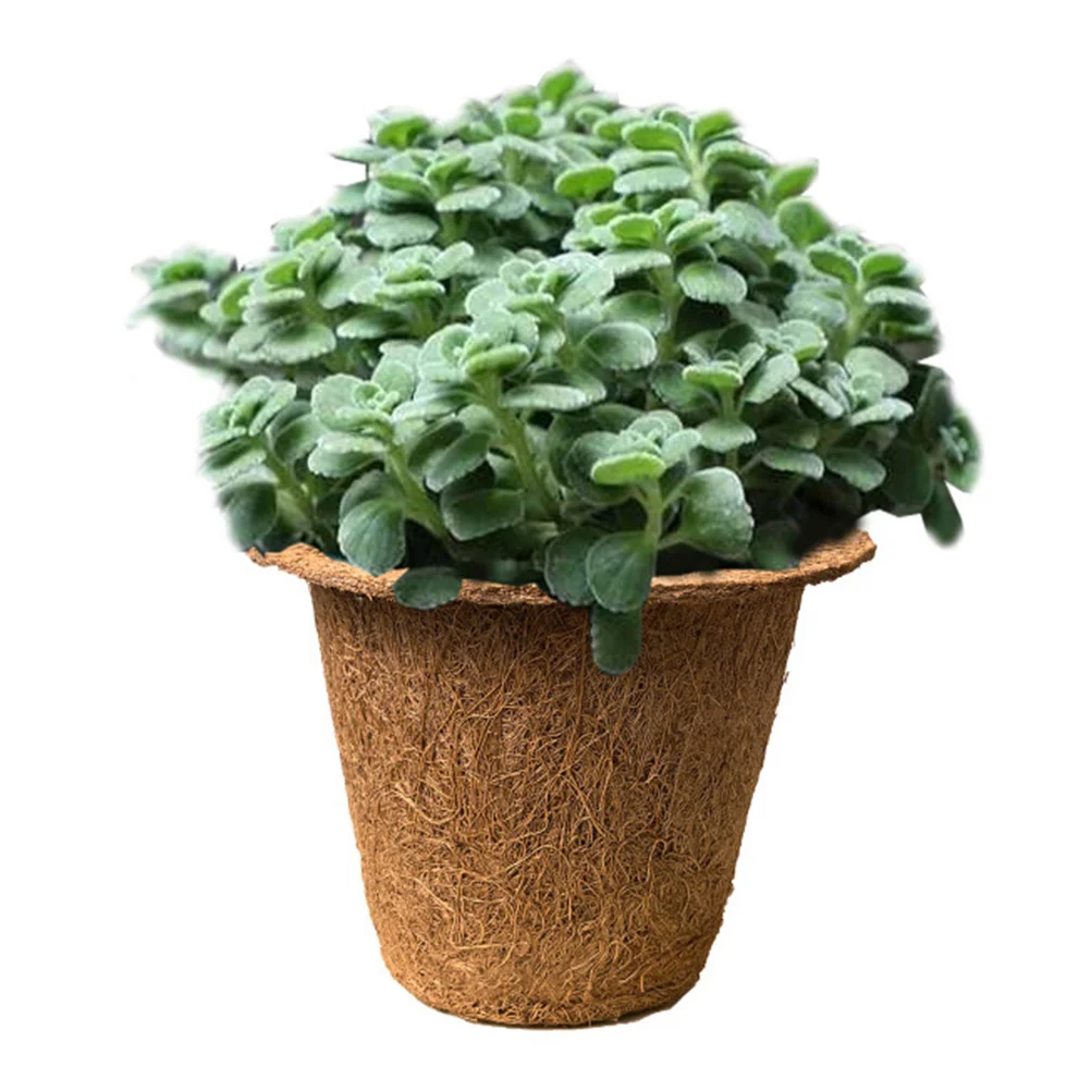 6 шт. детский горшок для цветов кокосовая пальма чашки рассады горшки растений