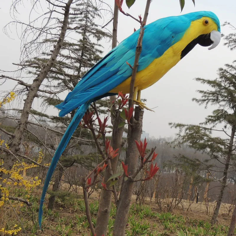 

new real life blue&yellow parrot model foam&feather big parrot doll gift about 60cm d0177