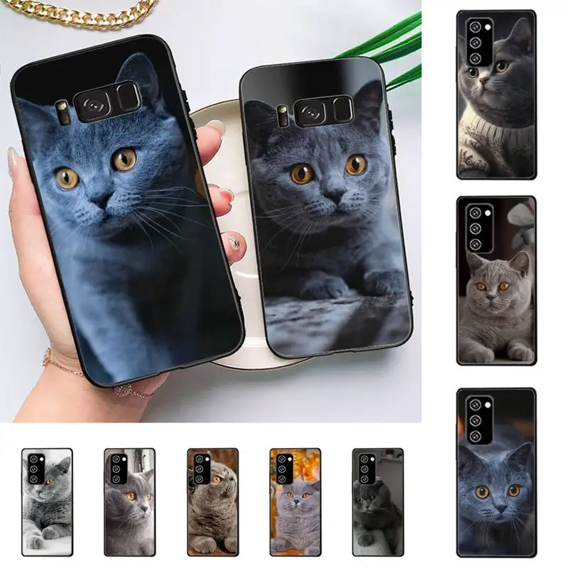 

British Shorthair Cat Phone Case For Samsung Galaxy Note 10Pro Note 20ultra cover for note20 note 10lite M30S Back Coque