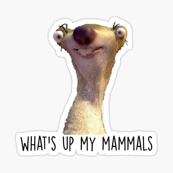 

Whats Up My mamits Sid The Sloth 10 шт. наклеек для художественного украшения гостиной Декор домашняя стена аниме фон для ноутбука