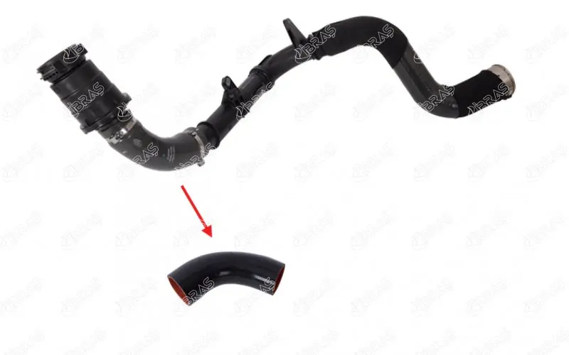 

Store code: 11615 for TURBO esanc hose (small plastic part) for (except small plastic part)-SCENIC III-FLUENCE