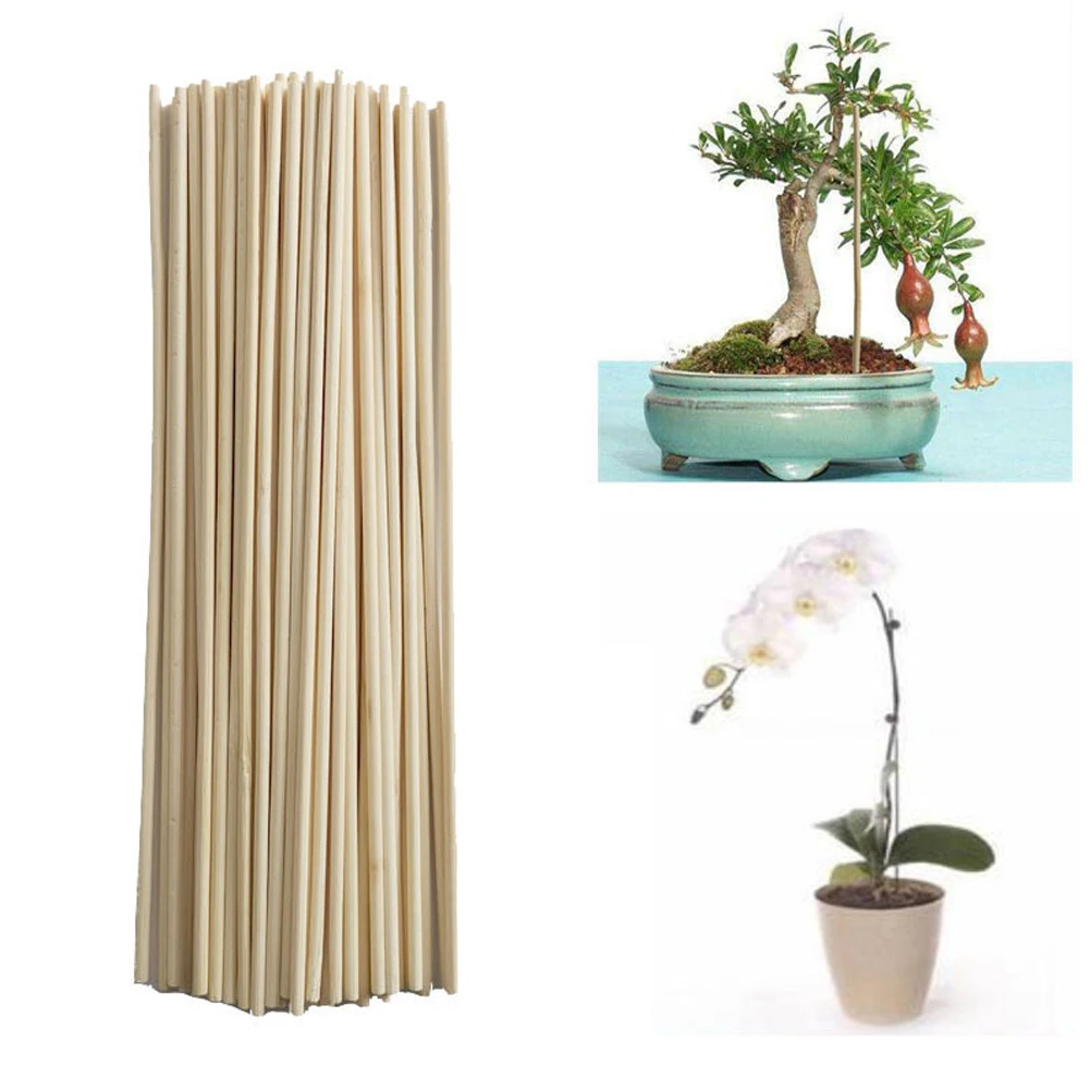 

50pcs Plant Growth Support Rod Inserted Gardening Tools Home Universal Solid Office Planting Indoor Outdoor DIY Bamboo Stakes