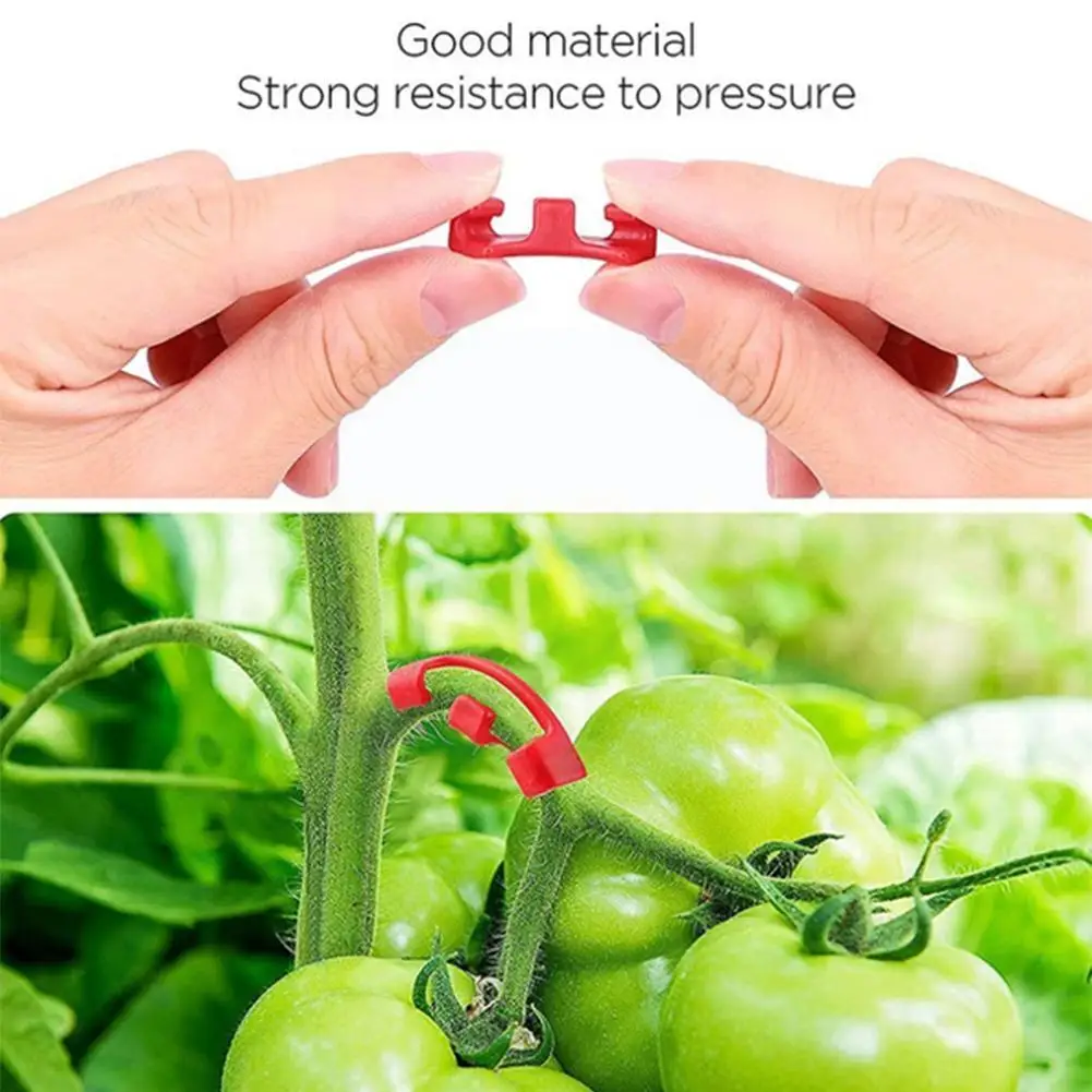 

Изогнутый держатель для растений, 90 градусов, Y2h8